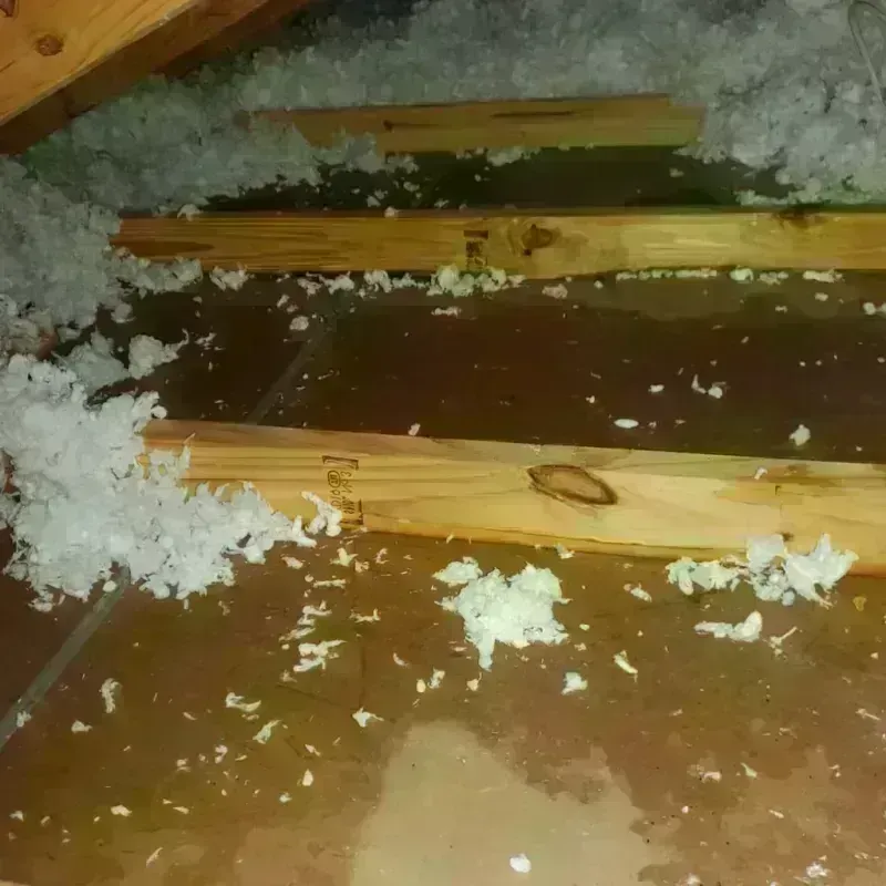 Attic Water Damage in Exmore, VA