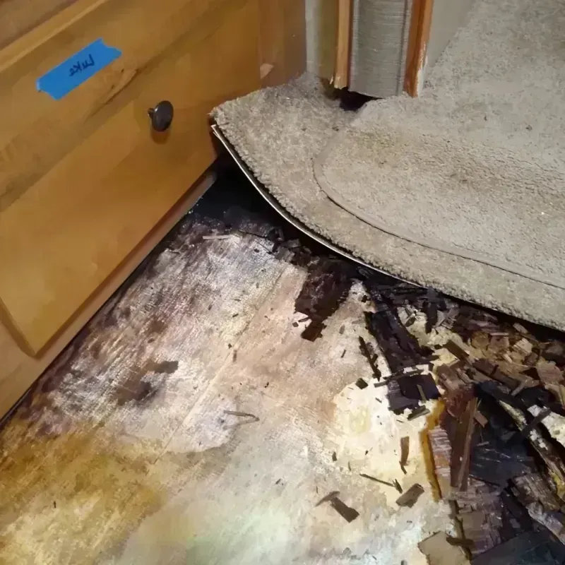 Wood Floor Water Damage in Exmore, VA